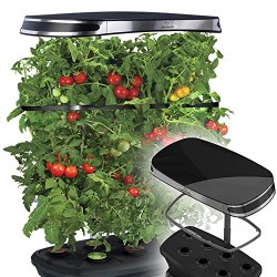 Hydroponic Tomato Growing Kit