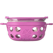 Silicone & Glass Lunch Box