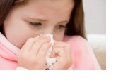 Ragweed allergy can be alleviated with diet