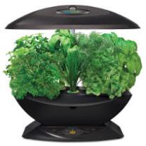 Aerogarden 7 A Hydroponic Herb Growing Kit For Indoors