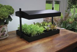 Herb Grow Light