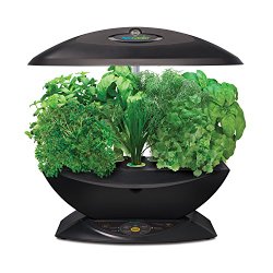 Indoor herb garden clearance with artificial light