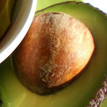 Avocado Seed