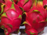 dragon fruit