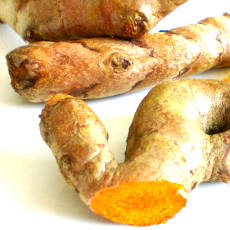 Fresh Turmeric Root