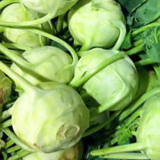 Kohlrabi