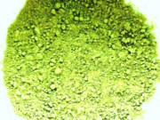 Health effects of green matcha powder