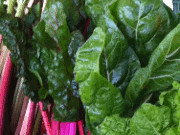 Swiss chard