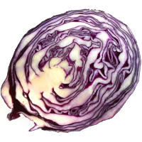 Benefits of Eating Red Cabbage vs White Cabbage