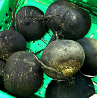 Why Black Radish is Healthy