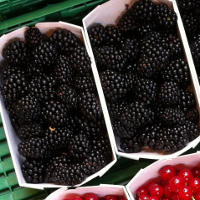 Health Benefits of Blackberries