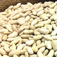 Health Benefits of Cannellini Beans