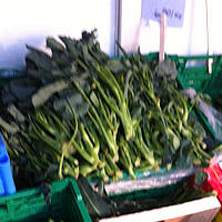 Health Benefits of Gai-Lan (Chinese Broccoli)