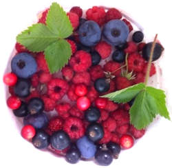 Healthy Berries