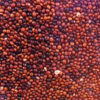 Kaniwa Nutrition Facts