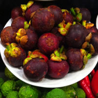 Health Benefits of Mangosteen Fruit Powder