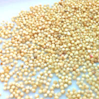 Health Benefits of Millet