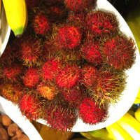 Rambutan Fruit Health Benefits