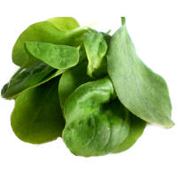 Spinach, a Green Superfood