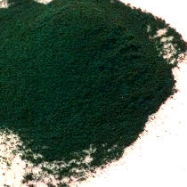 Spirulina Health Benefits