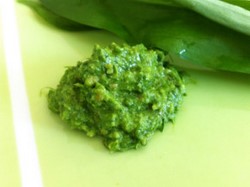 Wild Garlic Pesto