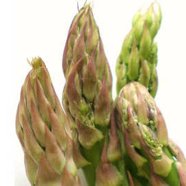 Asparagus