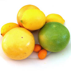 Citrus Fruits