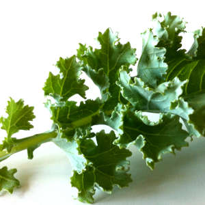 Fresh Kale