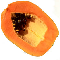 Frozen Papaya