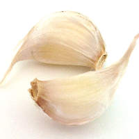 Garlic and Asthma