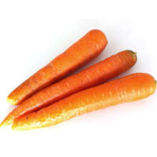 Healthy carrots