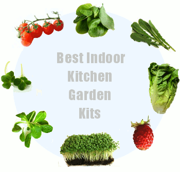 Indoor Kitchen Garden