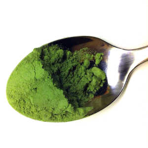 Matcha or Maca