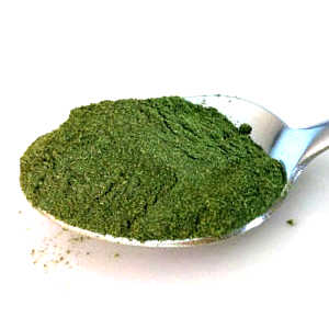 Matcha or Moringa