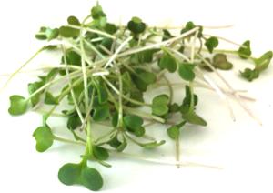 Health benefits of microgreens