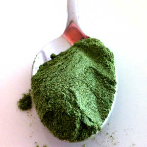 Moringa or Maca Powder