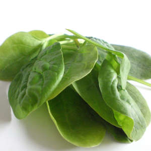 Moringa or Spinach