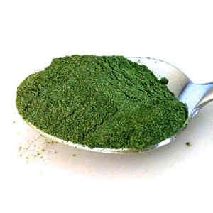 10 Uses for Moringa Powder