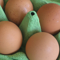 Omega 3 vs Regular Eggs