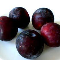 Queen Garnet Plum