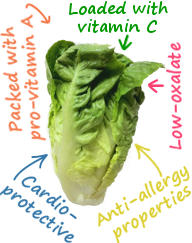 romaine lettuce nutritional value