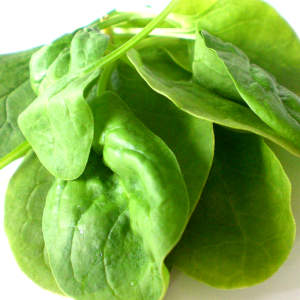 Spinach