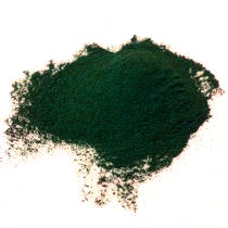 Spirulina and Hay Fever