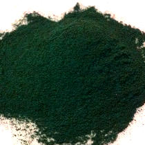 Spirulina