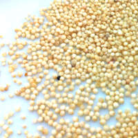 Whole Millet